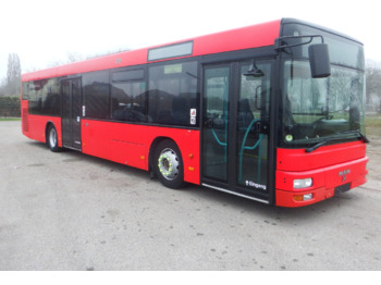 Городской автобус MAN A21 - KLIMA: фото 1