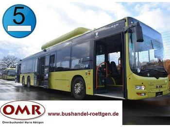 Городской автобус MAN A 44 Lion`s City / A 26 / NL 313 CNG: фото 1