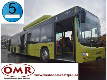Городской автобус MAN A 44 Lion`s City LLE CNG / A 26 / NL 313: фото 1