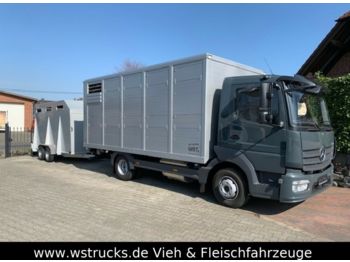 Грузовик для перевозки животных для транспортировки животных Mercedes-Benz 821L" Neu" WST Edition" Menke Einstock Vollalu: фото 1