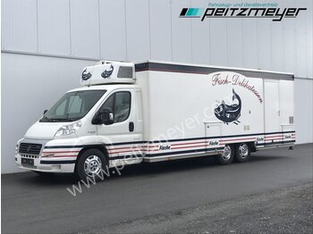  IVECO FIAT (I) Ducato Verkaufswagen 6,3 m + Kühltheke, Fritteuse - торговый грузовик