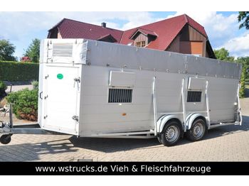 Blomert Einstock Vollalu 5,70 m  - Прицеп для перевозки животных