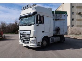 DAF XF 480, SSC, 2 Kreishydraulik, Euro 6, Traxon  - тягач