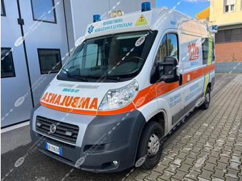 FIAT 250 Ducato Dangel 4x4 ORION (ID 3205) - Машина скорой помощи: фото 1