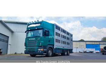 Scania R 440 Topline KABA 3 Stock Hubdach - Грузовик для перевозки животных: фото 1
