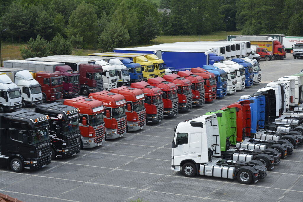 DUETDUDA undefined: фото 24