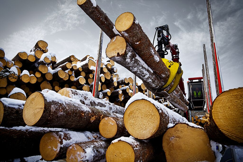 Tractoaredepadure.ro - Лесозаготовительная техника undefined: фото 8