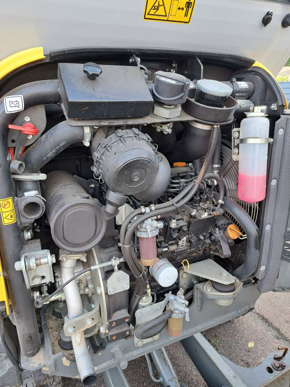 SCARLET BLOEM BV undefined: фото 3