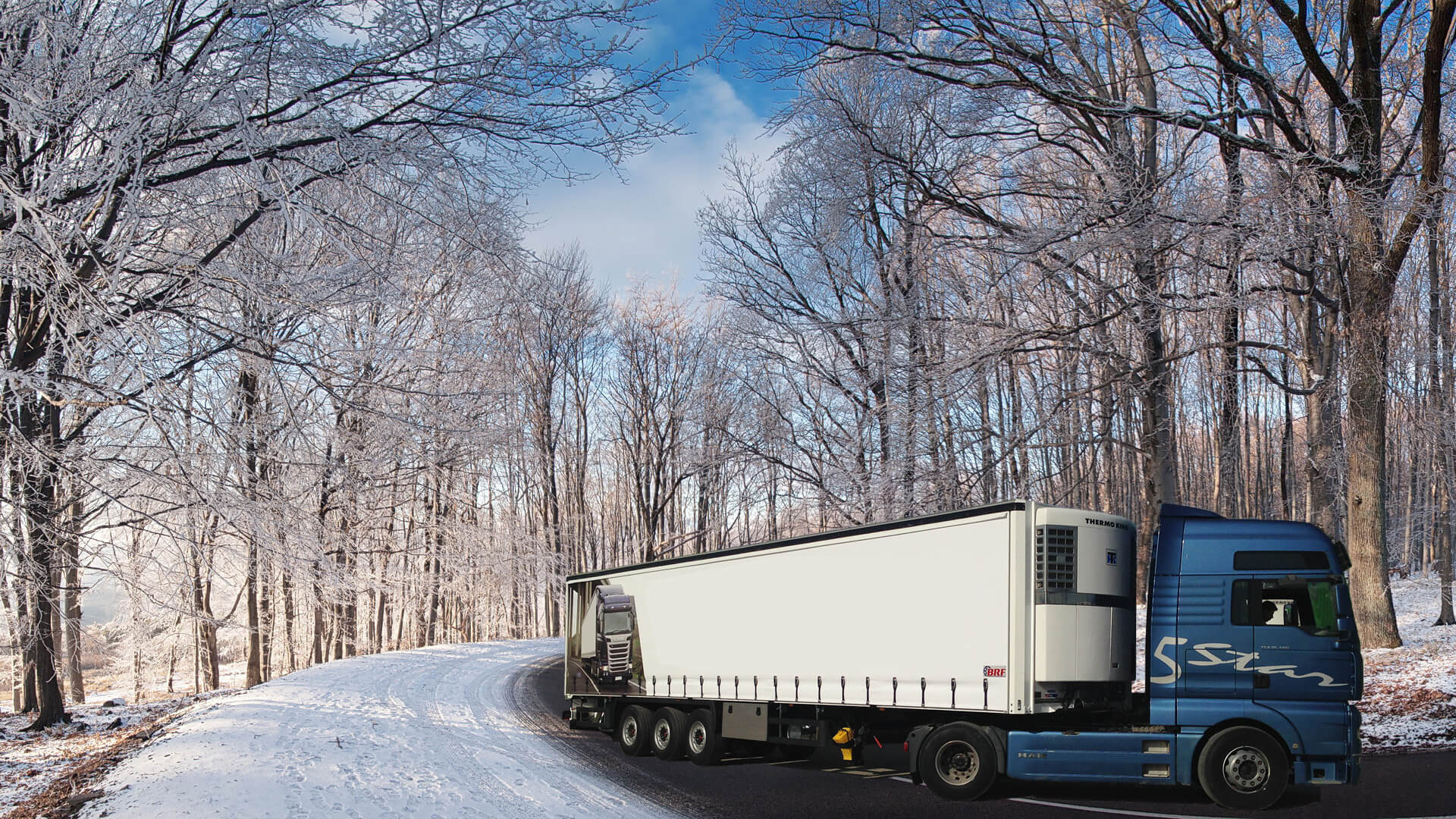 BRF REFRIGERATED TRAILER undefined: фото 3