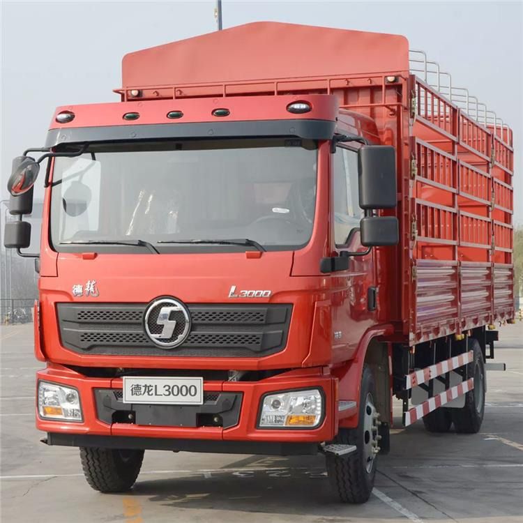 Shandong ZW Vehicle Group undefined: фото 163