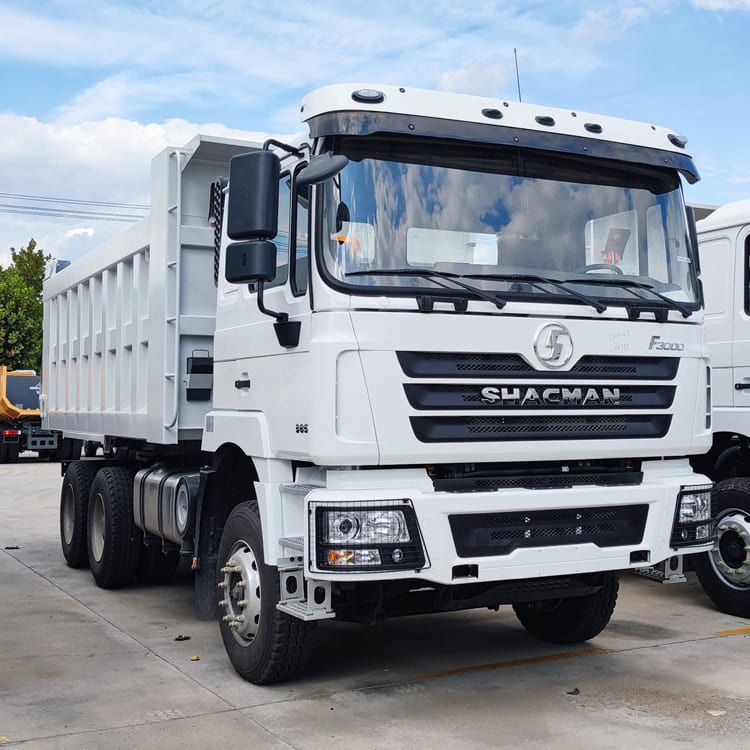 Shandong ZW Vehicle Group undefined: фото 153