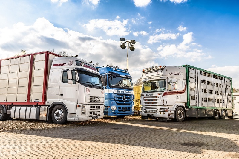 WS Trucks GmbH - Лёгкие коммерческие автомобили - Год: 2013 undefined: фото 1