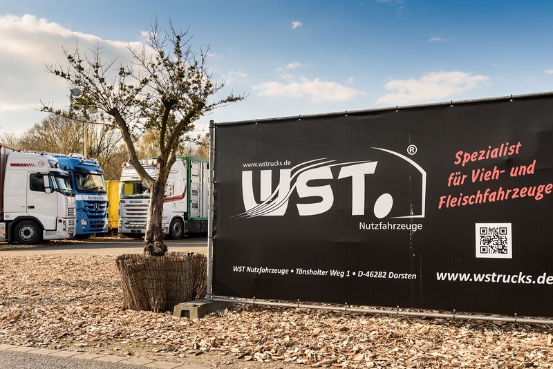 WS Trucks GmbH - Лёгкие коммерческие автомобили - Год: 2013 undefined: фото 4