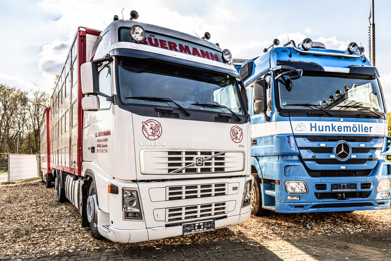 WS Trucks GmbH - Лёгкие коммерческие автомобили - Год: 2013 undefined: фото 2