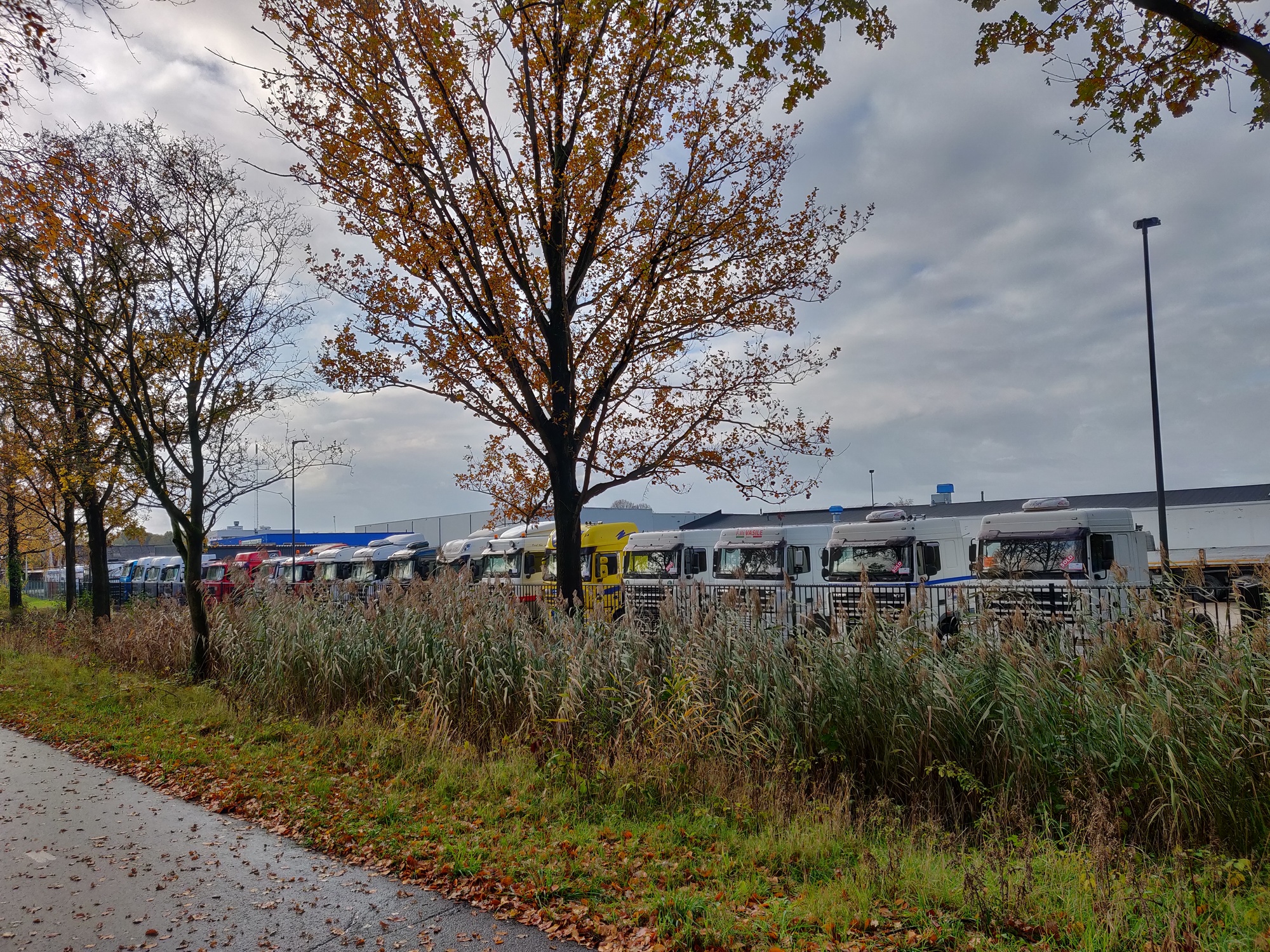 Truck Trading Holland - объявления о продаже undefined: фото 17