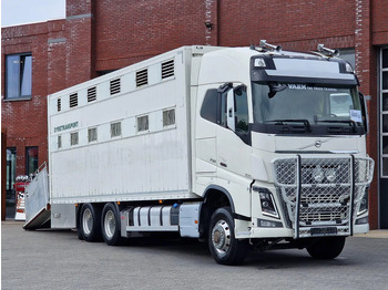Грузовик для перевозки животных VOLVO FH16 750