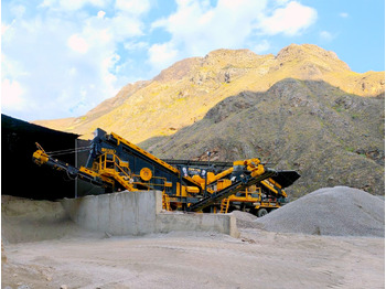 Ударная дробилка FABO