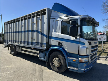 Грузовик с закрытым кузовом SCANIA P 310