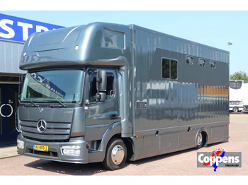 Коневоз MERCEDES-BENZ Atego 816