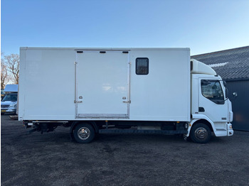 Грузовик для перевозки животных DAF LF 45.150 4 paards, laadlift. Horsetruck NL truck: фото 3