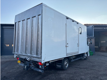 Грузовик для перевозки животных DAF LF 45.150 4 paards, laadlift. Horsetruck NL truck: фото 4