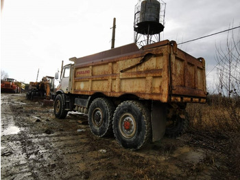 Карьерный самосвал Perlini 131-33: фото 4 Карьерный самосвал Perlini 131-33: фото 4