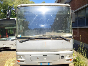Городской автобус MAN