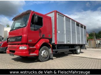 Грузовик для перевозки животных DAF LF 55 Einstock KABA: фото 1