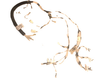 Кабели/ Провода CATERPILLAR