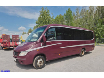 Микроавтобус MERCEDES-BENZ Vario
