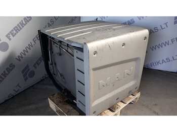 Катализатор MAN