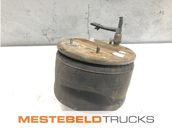 Подвеска DAF