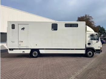 Коневоз DAF LF 45.130 CLEAN HORSES NL-TRUCK: фото 5