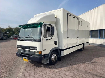 Коневоз DAF LF 45.130 CLEAN HORSES NL-TRUCK: фото 3