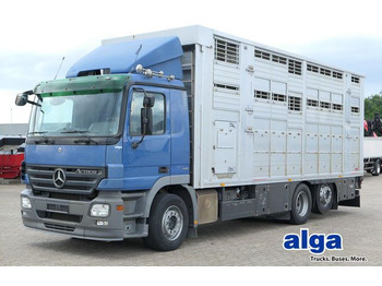 Коневоз MERCEDES-BENZ Actros 2541