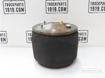 Воздушная подвеска DAF