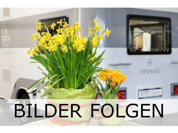 Новый Кастенваген Dethleffs Trend 30 JAHRE EDITION T 7057 DBM 30 JAHRE GÜMA: фото 1