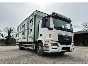 Грузовик для перевозки животных MAN TGM 15.290