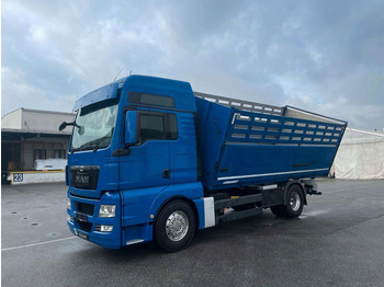 Самосвал MAN TGX 18.480