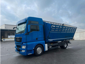 Самосвал MAN TGX 18.480