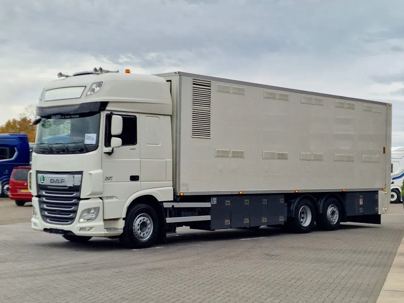 DAF XF 440 SuperSpaceCab 6x2*4 - 2 deck Closed Livestock - 40M2 - Filtersystem - Грузовик для перевозки животных: фото 3 DAF XF 440 SuperSpaceCab 6x2*4 - 2 deck Closed Livestock - 40M2 - Filtersystem - Грузовик для перевозки животных: фото 3