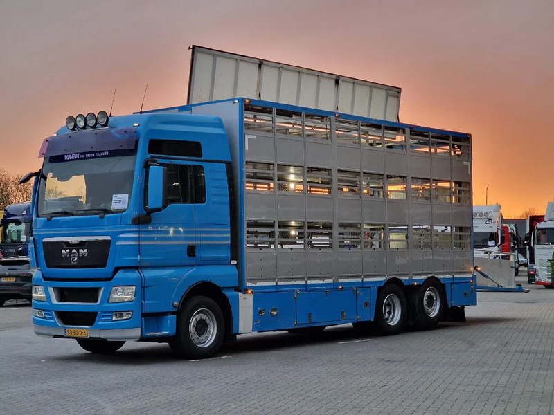 MAN TGX 26.440 6x2*4 - 3 deck Livestock - Water & Ventilation - Manual gearbox - Steering axle - Грузовик для перевозки животных: фото 4 MAN TGX 26.440 6x2*4 - 3 deck Livestock - Water & Ventilation - Manual gearbox - Steering axle - Грузовик для перевозки животных: фото 4