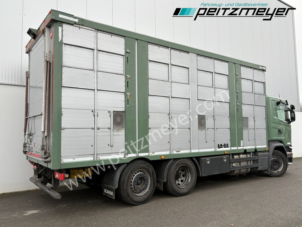 Грузовик для перевозки животных Scania G 450 6x2, Kaba 3-Stock, Hubdach Lenk + Lift,: фото 34 Грузовик для перевозки животных Scania G 450 6x2, Kaba 3-Stock, Hubdach Lenk + Lift,: фото 34