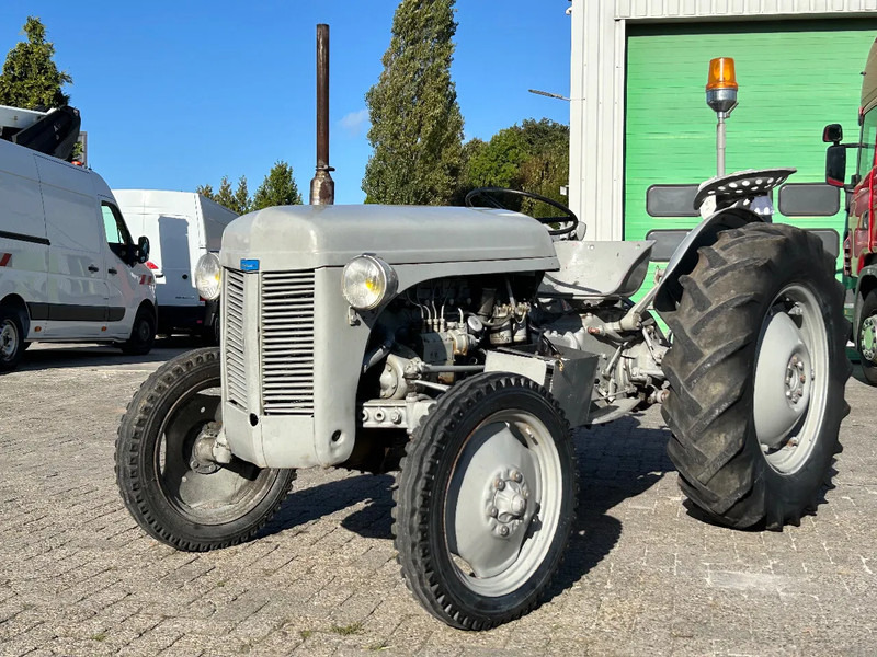 Diversen FERGUSON tractor - Трактор: фото 3 Diversen FERGUSON tractor - Трактор: фото 3