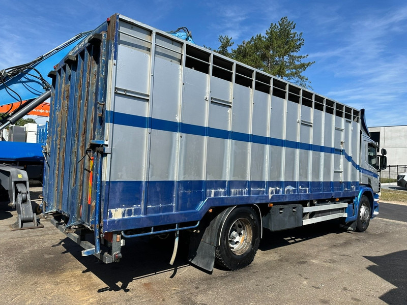 Scania P310 4x2 LIVESTOCK / VEEWAGEN / TIERTRANSPORT / BETAILLERE - ALU BOX 7m - MANUAL - A/C - BELGIAN TRUCK - Грузовик для перевозки животных: фото 5 Scania P310 4x2 LIVESTOCK / VEEWAGEN / TIERTRANSPORT / BETAILLERE - ALU BOX 7m - MANUAL - A/C - BELGIAN TRUCK - Грузовик для перевозки животных: фото 5