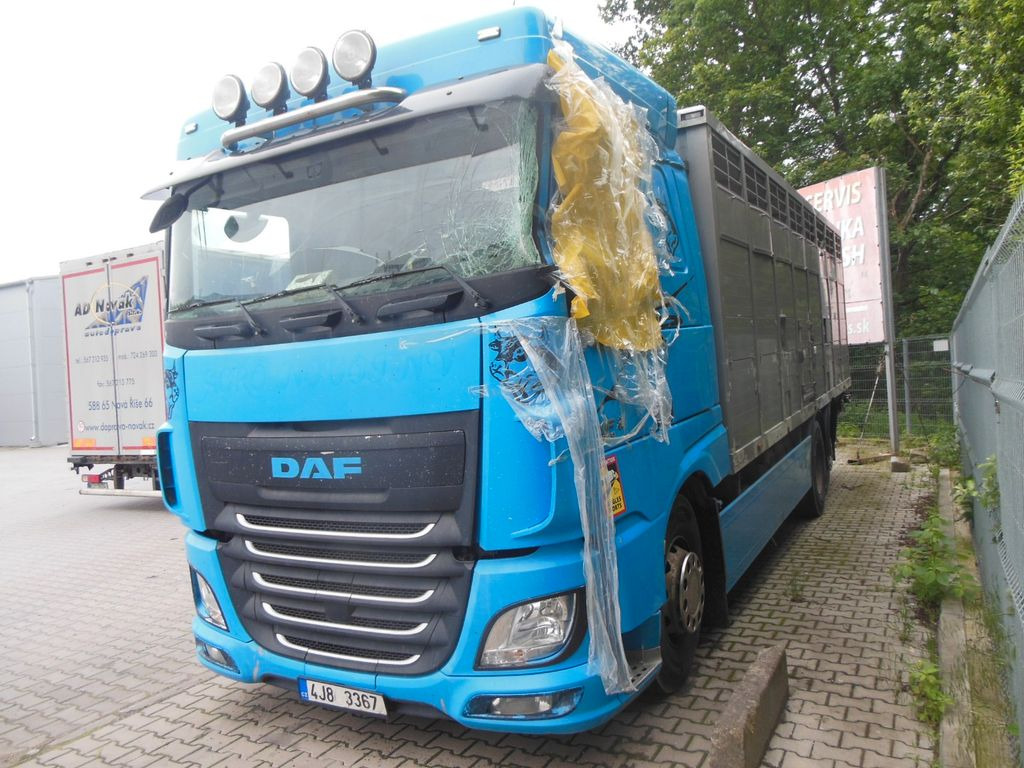 DAF XF 106.460, MENKE-JANZEN, UNFALL-FAHRBAR!! - Грузовик для перевозки животных: фото 1 DAF XF 106.460, MENKE-JANZEN, UNFALL-FAHRBAR!! - Грузовик для перевозки животных: фото 1
