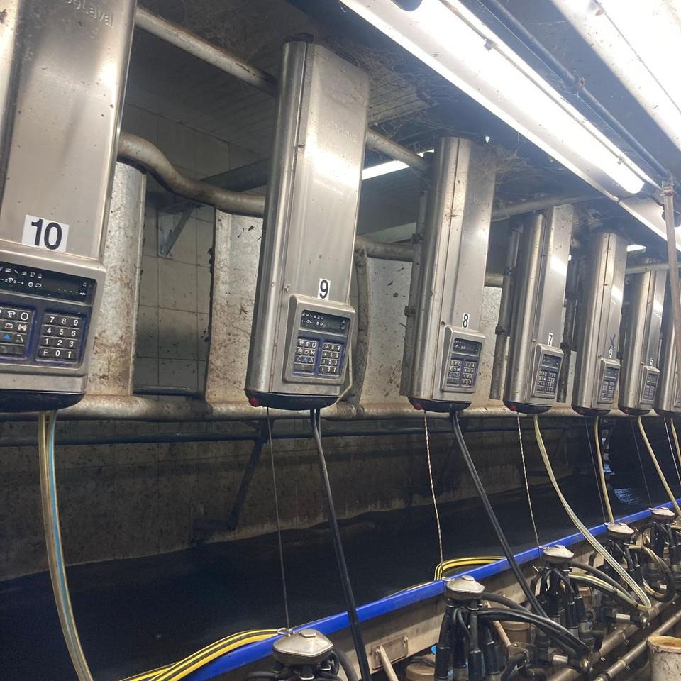 DeLaval Fischgrätenmelkstand Doppel 10er - Доильное оборудование: фото 1 DeLaval Fischgrätenmelkstand Doppel 10er - Доильное оборудование: фото 1