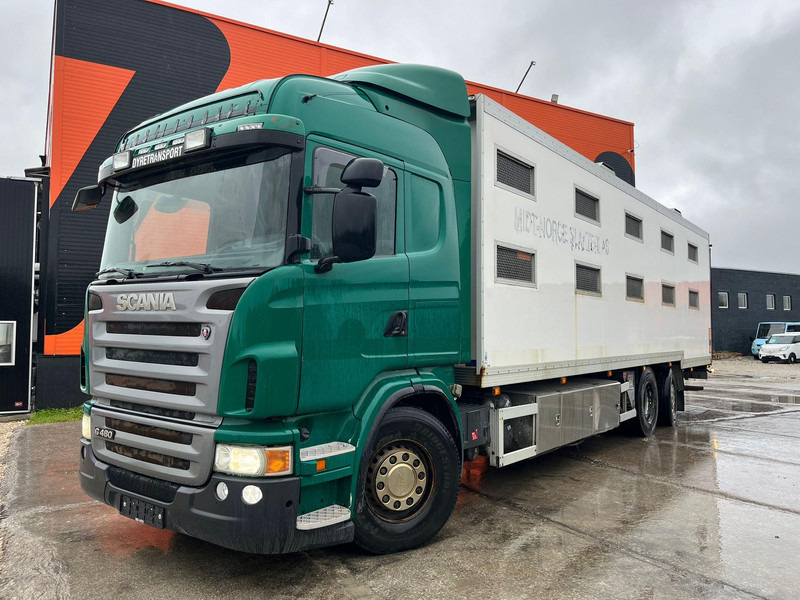 Scania G 480 6x2*4 BOX L=9212 mm / COOLANT LEAKAGE ON 3 RD CYLINDER - Грузовик для перевозки животных: фото 2 Scania G 480 6x2*4 BOX L=9212 mm / COOLANT LEAKAGE ON 3 RD CYLINDER - Грузовик для перевозки животных: фото 2
