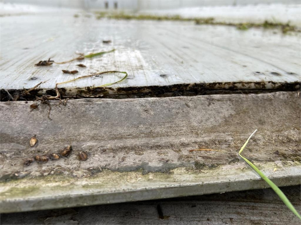 Самосвальный полуприцеп Langendorf SKA36 60m3 alu kasse med plastindlæg: фото 10 Самосвальный полуприцеп Langendorf SKA36 60m3 alu kasse med plastindlæg: фото 10