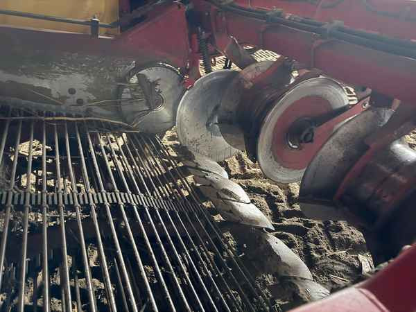 Grimme EVO 290 AirSep - Комбайн: фото 2 Grimme EVO 290 AirSep - Комбайн: фото 2